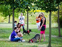 Adoptuj Warszawiaka  Wydarzenie promujące adopcję zwierząt. Organizator: Schronisko dla Bezdomnych Zwierząt "Na Paluchu". 18 sierpnia 2019, Park Raszyński w Raszynie. : park raszyński, adoptuj warszawiaka, na paluchu, schronisko dla zwierząt, centrum warszawy, raszyn